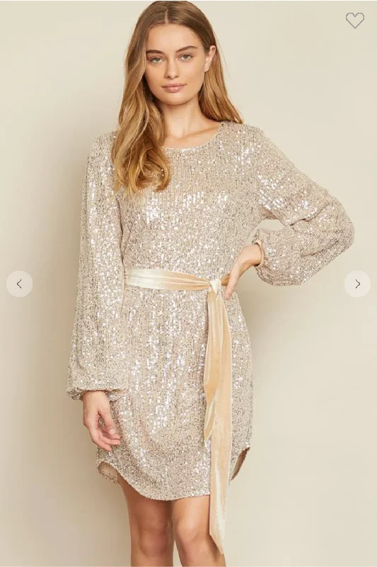 Cinch Me Pretty Sequin Mini Dress Classic Casual Mini Dress