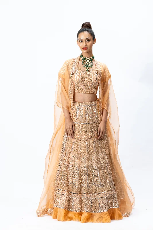 Orange Hand-embroidered Lehenga paired with Hand-embroidered Blouse and Cape with Hand-embroidered Border Elegant Semi-Sheer Blouse Orange Hand-embroidered Lehenga paired with Hand-embroidered Blouse and Cape with Hand-embroidered Border Elegant Semi-Sheer Blouse
